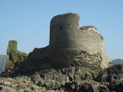 Salcombe Castle